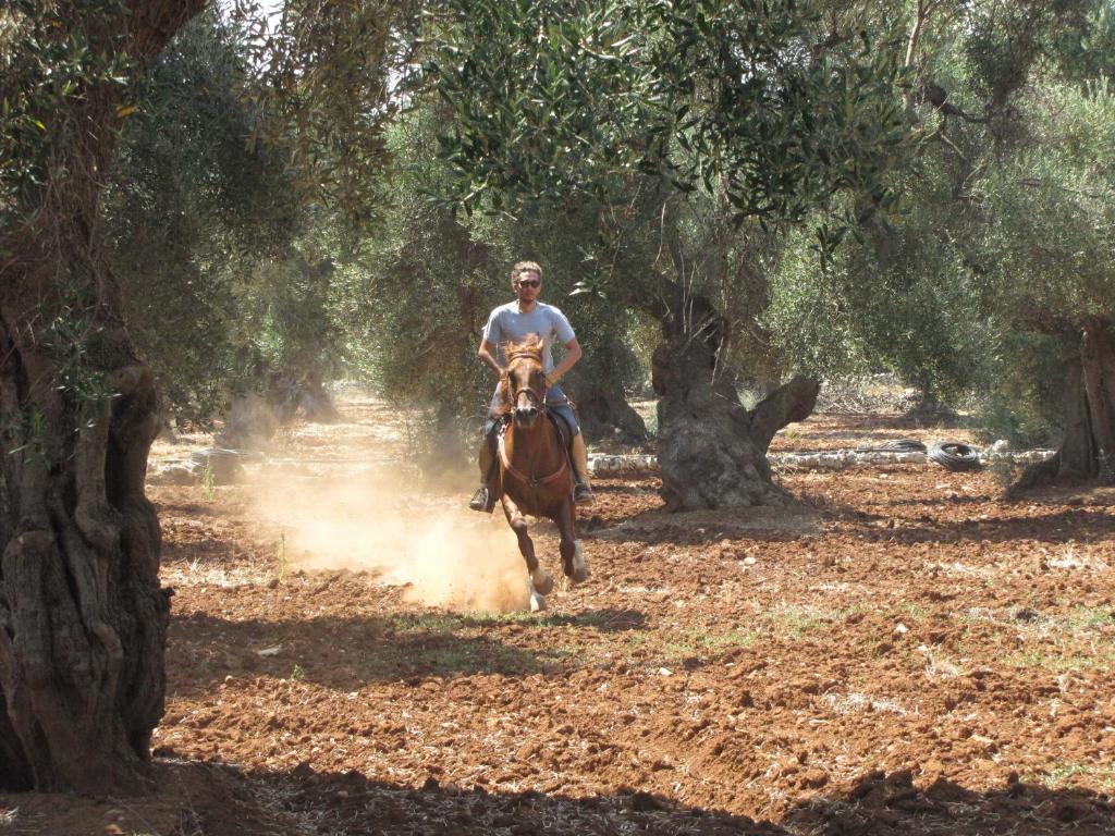 בית הארחה אוסטוני 	Antica Masseria Carparelli מראה חיצוני תמונה